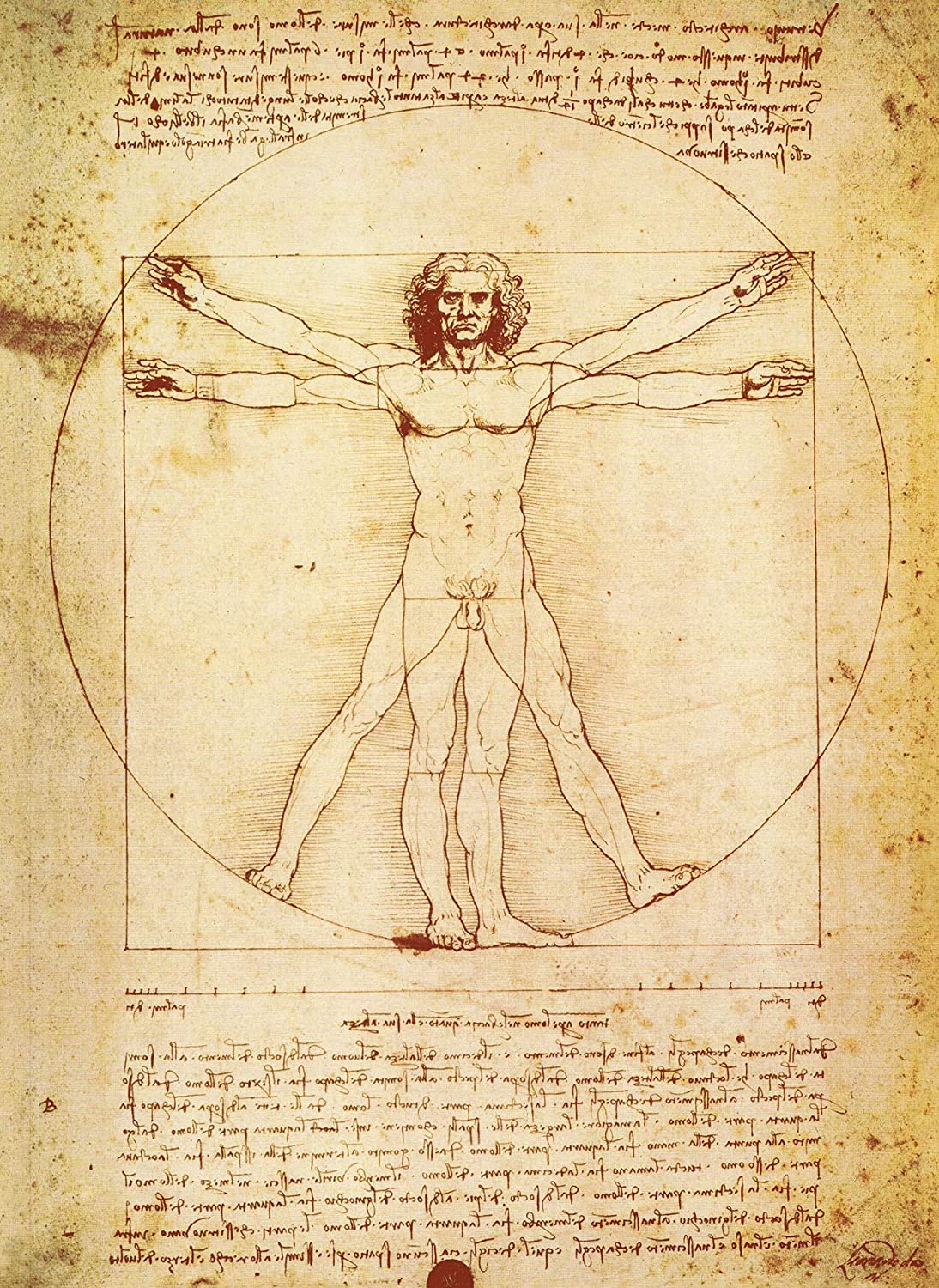 Man is technology, as is every creature, plant, and the thing that replicates itself on the planet. We are a form of technology used by genes to continue their existence. Source - Human Body by Leonardo Da Vinci.